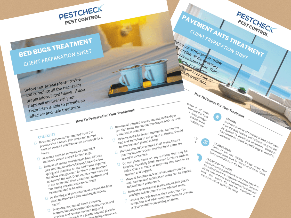 Preparing Your Home For Pest Control: A Checklist | Pest Control'd