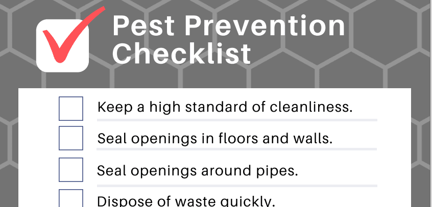 Preparing Your Home For Pest Control: A Checklist