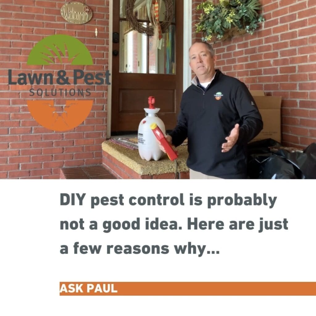 The Dangers Of DIY Pest Control: What You Should Know
