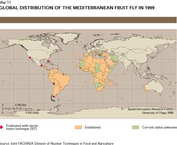 The Economic Impact Of Pests On Agriculture The Economic Impact Of Pests On Agriculture