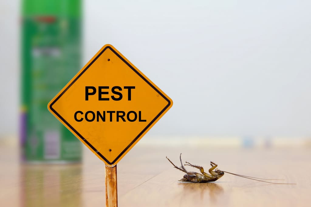 The Future Of Pest Control: Innovations And Trends
