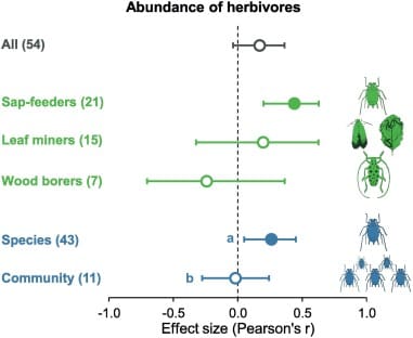 The Impact Of Urbanization On Pest Behavior The Impact Of Urbanization On Pest Behavior