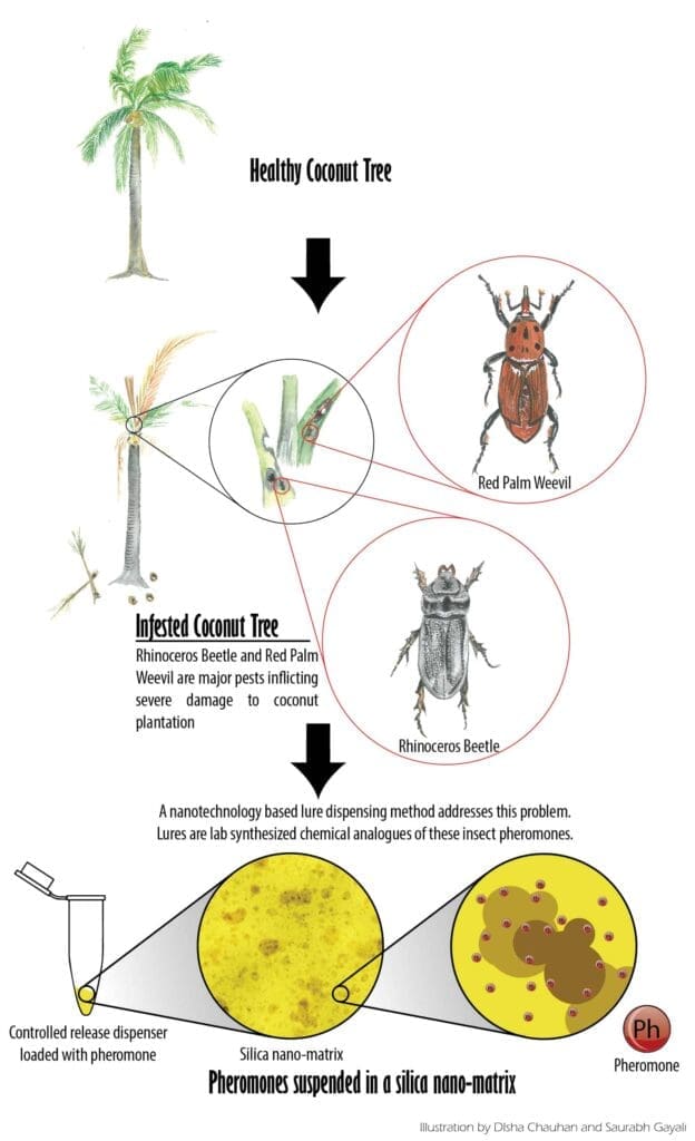 The Role Of Pheromones In Modern Pest Control