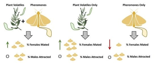 The Role Of Pheromones In Modern Pest Control