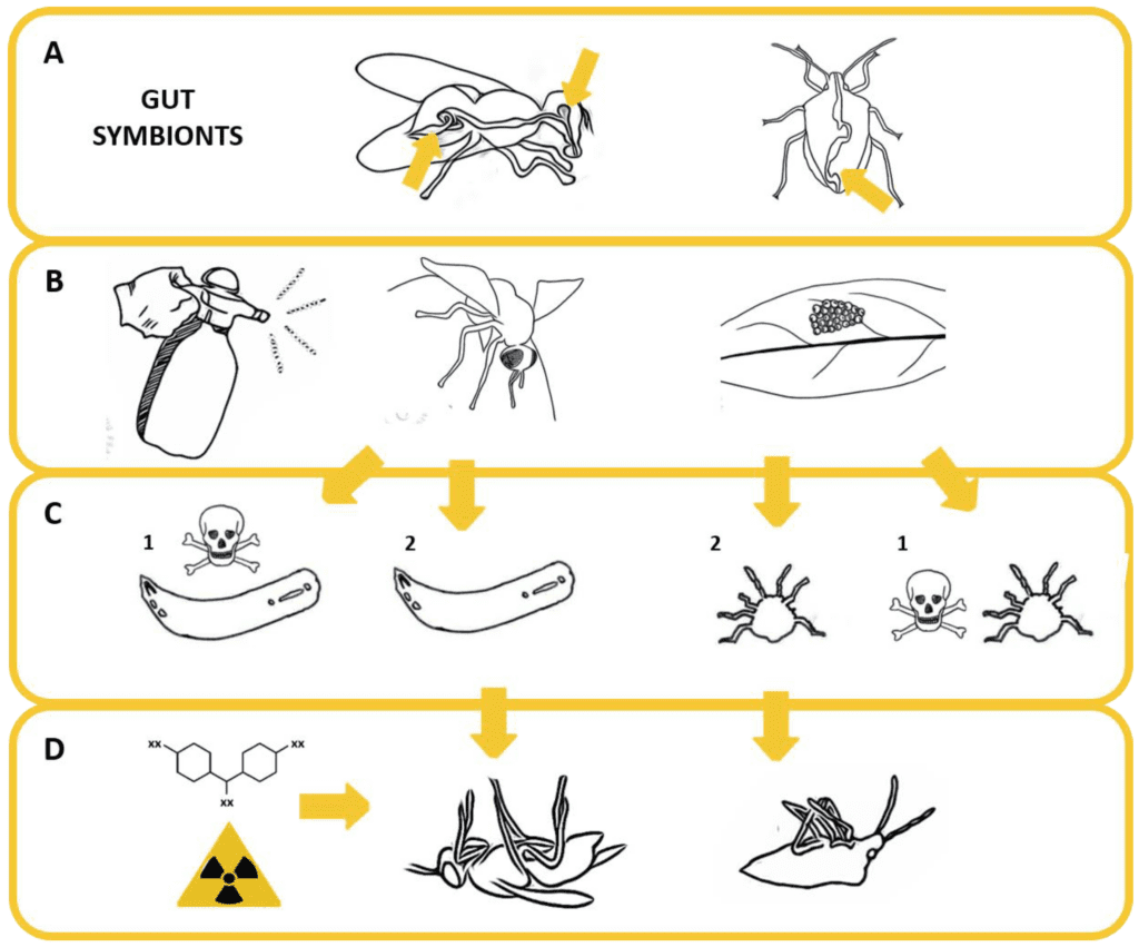 The Science Behind Insect Vision And How It Affects Pest Control The Science Behind Insect Vision And How It Affects Pest Control