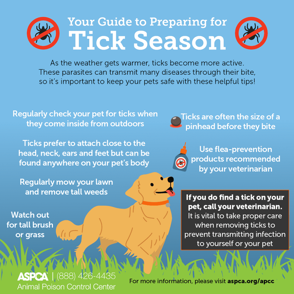 The Ultimate Guide To Tick Prevention And Treatment The Ultimate Guide To Tick Prevention And Treatment